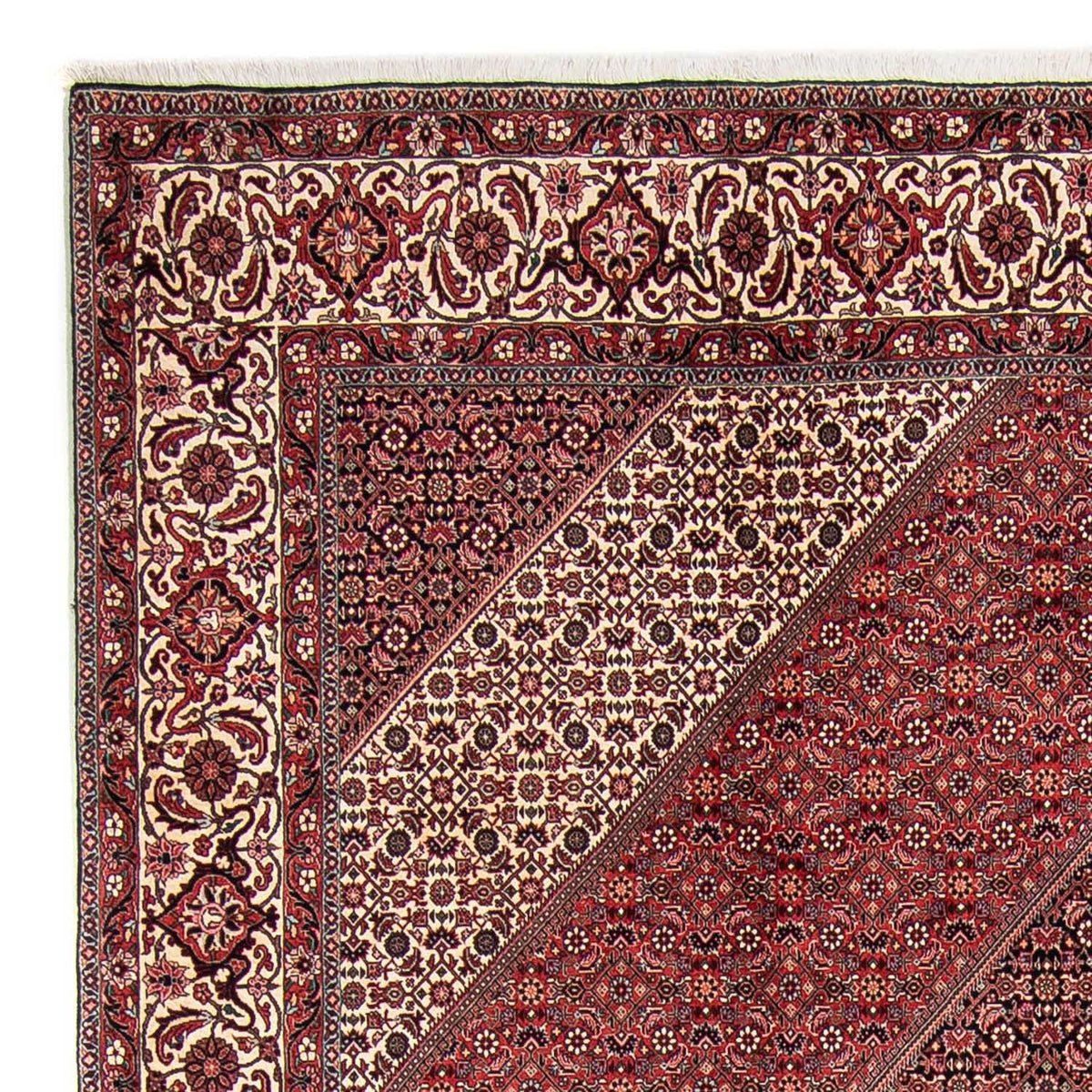 Tappeto Persero - Bidjar - 295 x 251 cm - rosso scuro