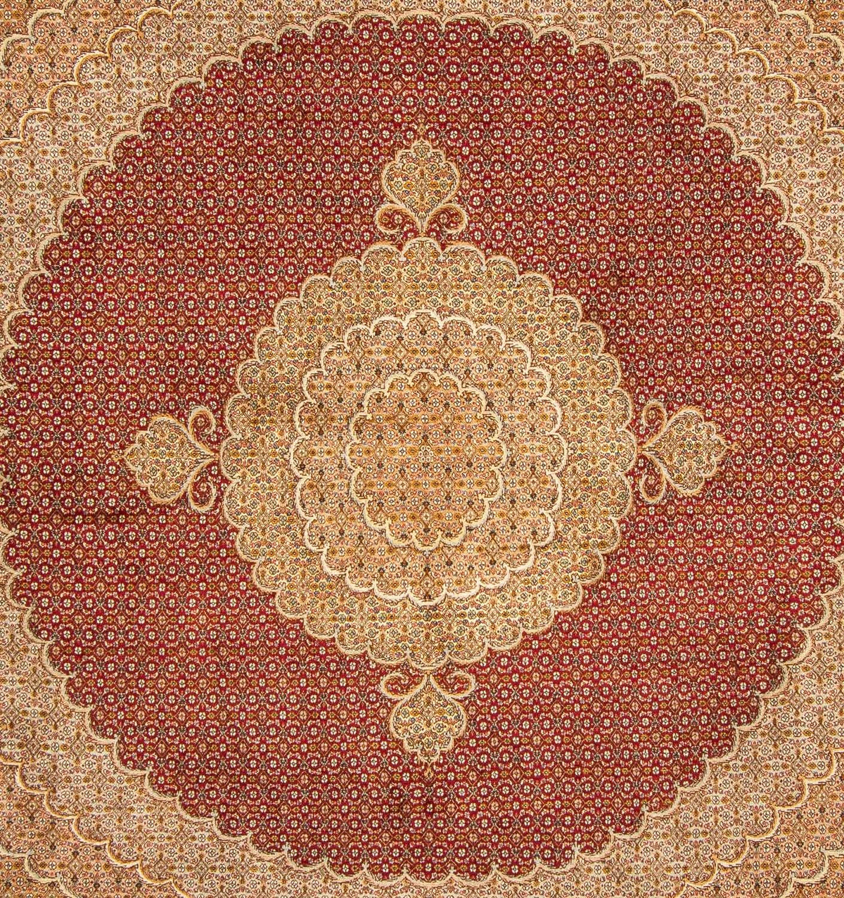 Tappeto Persero - Tabriz quadrato  - 248 x 246 cm - rosso scuro