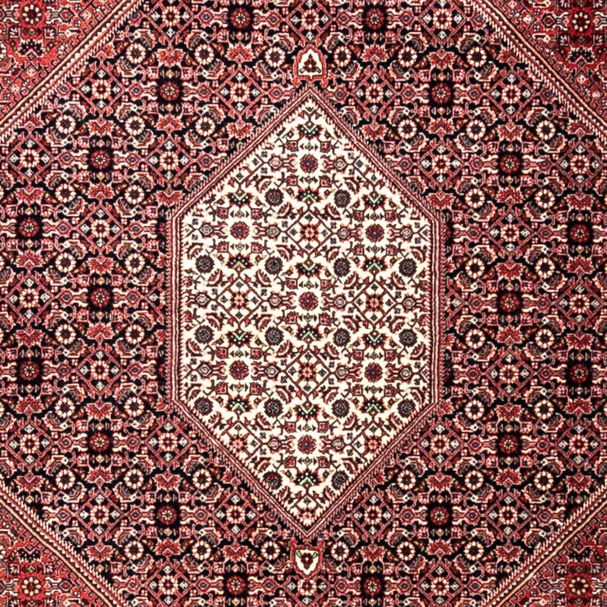 Tappeto Persero - Bidjar - 346 x 252 cm - rosso