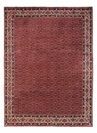 Tappeto Persero - Bidjar - 340 x 248 cm - rosso
