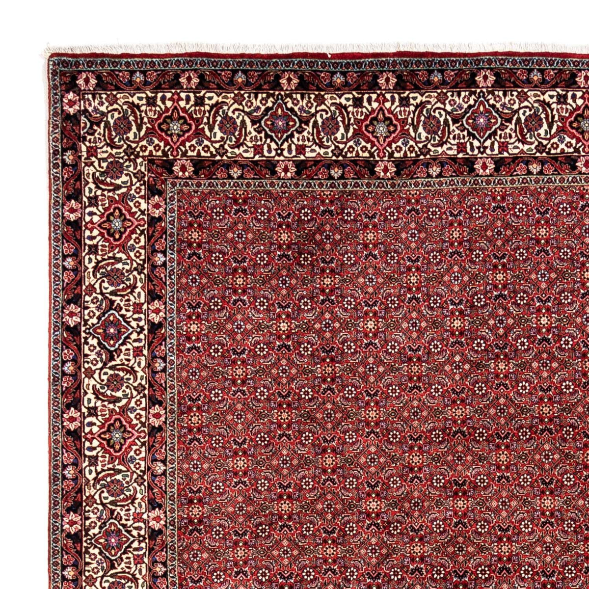 Tappeto Persero - Bidjar - 340 x 248 cm - rosso