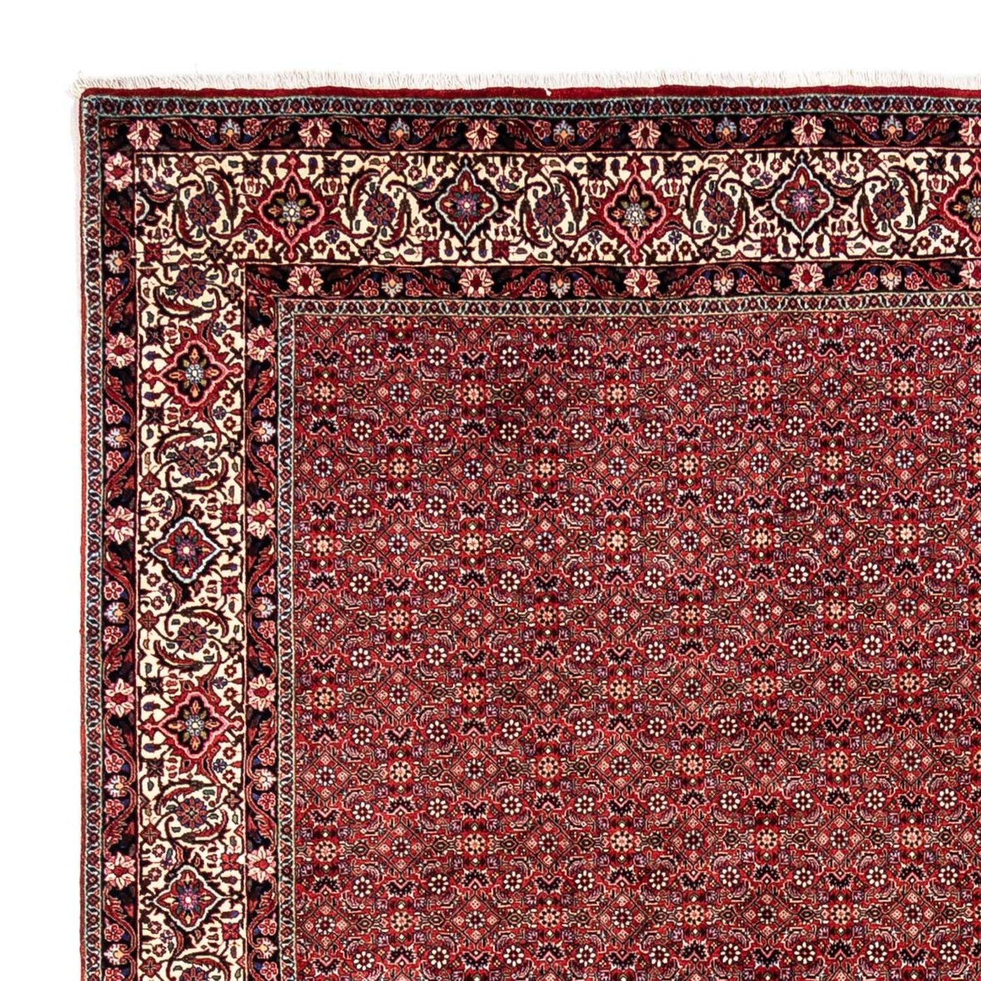 Bidjar - Takab Tappeto 340x248cm - Tappeto persiano