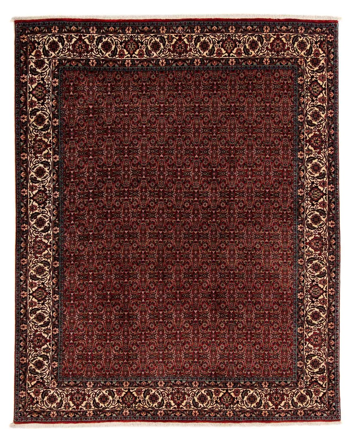 Tappeto Persero - Bidjar - 249 x 202 cm - rosso scuro