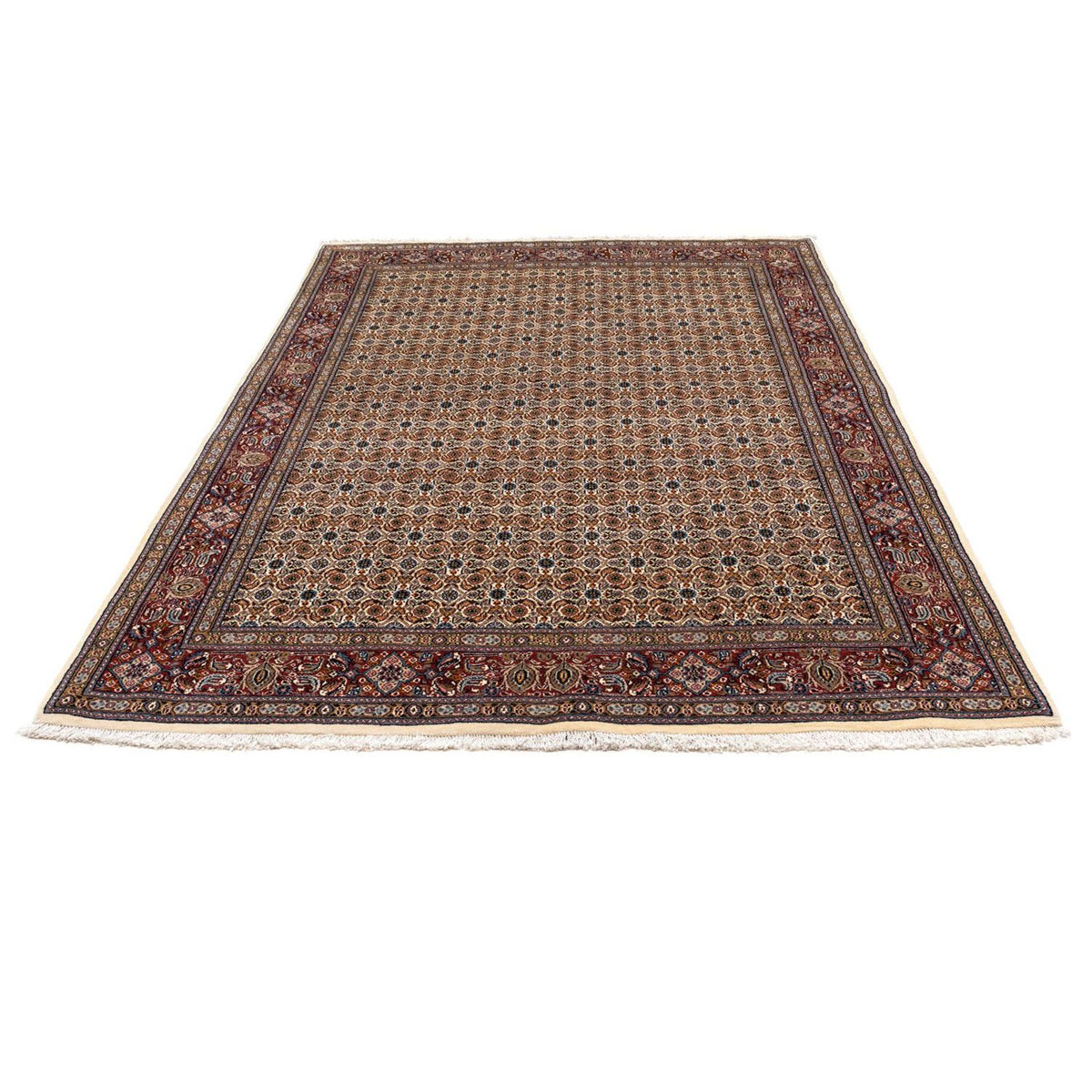Tappeto Persero - Classico - 242 x 170 cm - beige