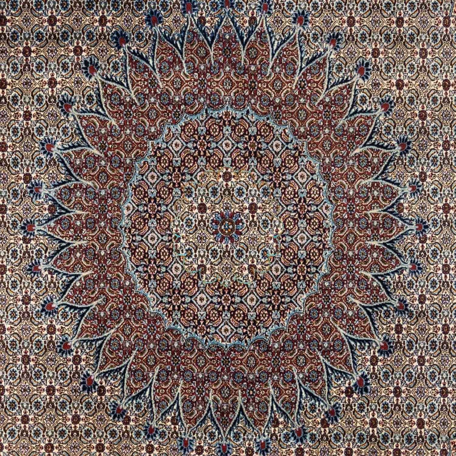 Tappeto Persero - Classico - 350 x 248 cm - beige