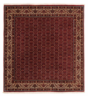 Tappeto Persero - Bidjar quadrato  - 207 x 200 cm - rosso scuro
