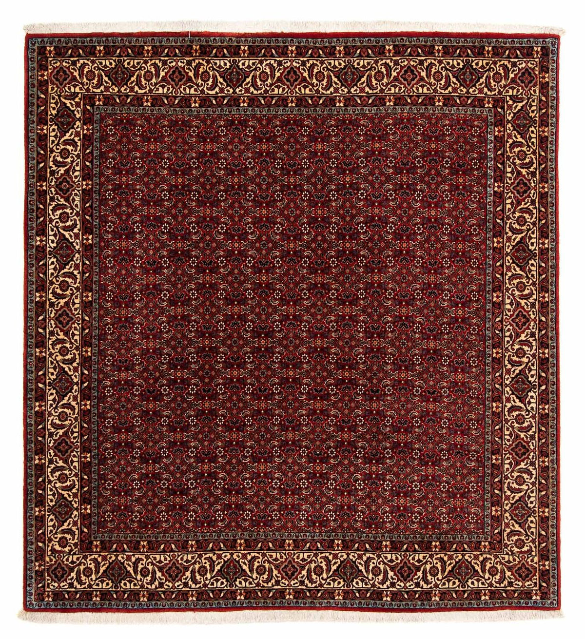 Tappeto Persero - Bidjar quadrato  - 207 x 200 cm - rosso scuro