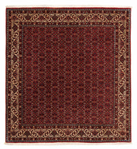 Tappeto Persero - Bidjar quadrato  - 207 x 200 cm - rosso scuro