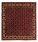 Bidjar Tappeto 200x207cm - Tappeto persiano