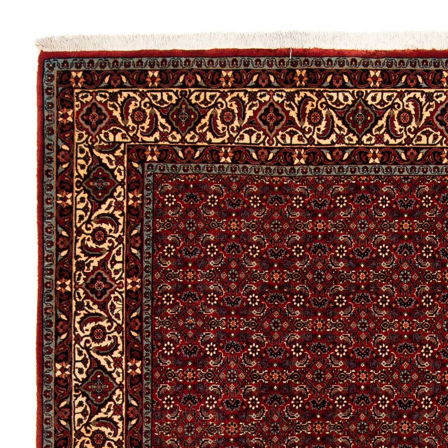 Tappeto Persero - Bidjar quadrato  - 207 x 200 cm - rosso scuro