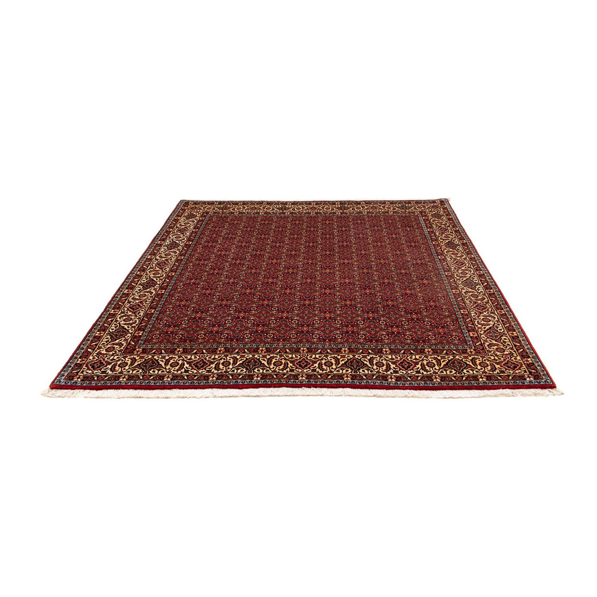 Tappeto Persero - Bidjar quadrato  - 207 x 200 cm - rosso scuro