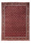 Tappeto Persero - Bidjar - 337 x 252 cm - rosso