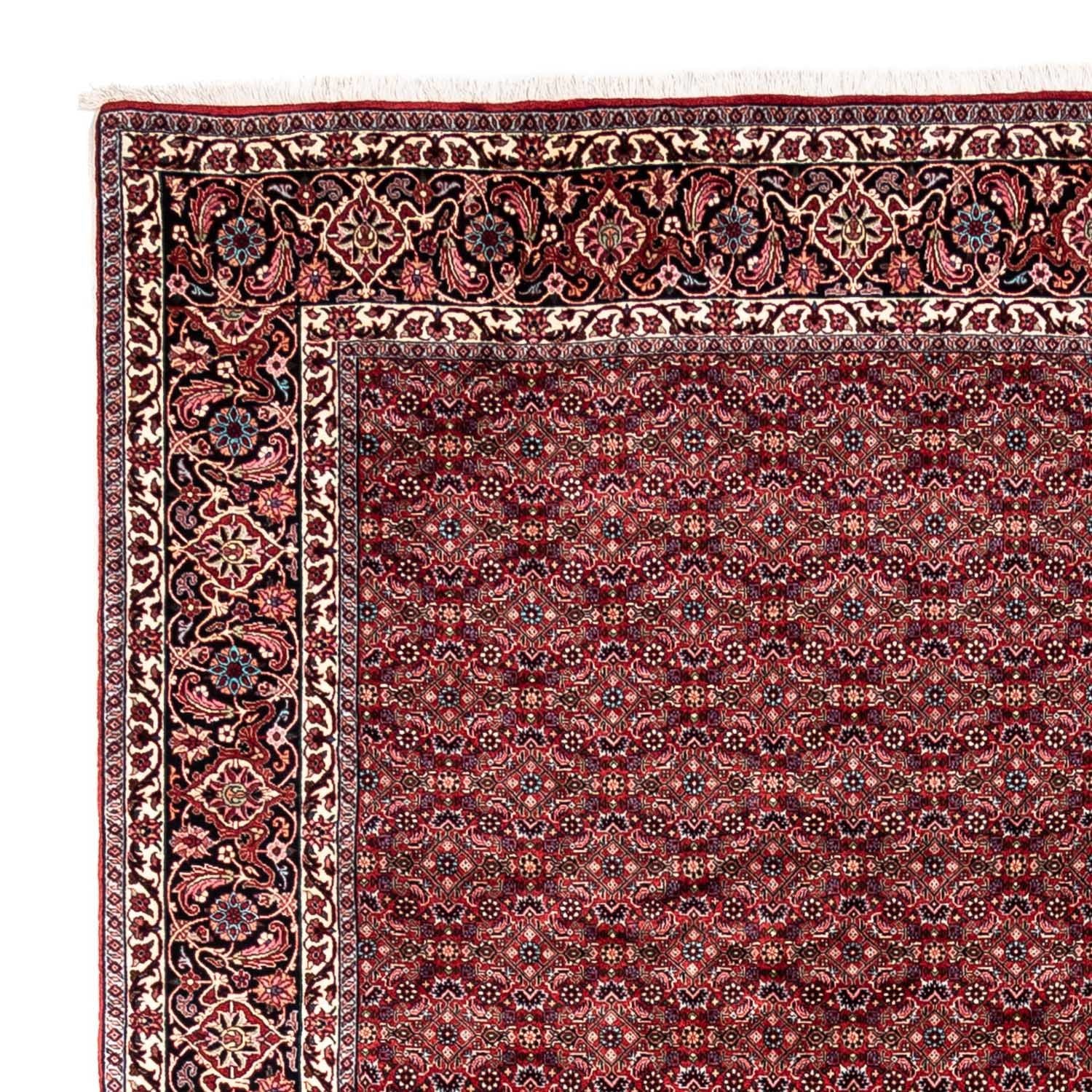 Tappeto Persero - Bidjar - 337 x 252 cm - rosso
