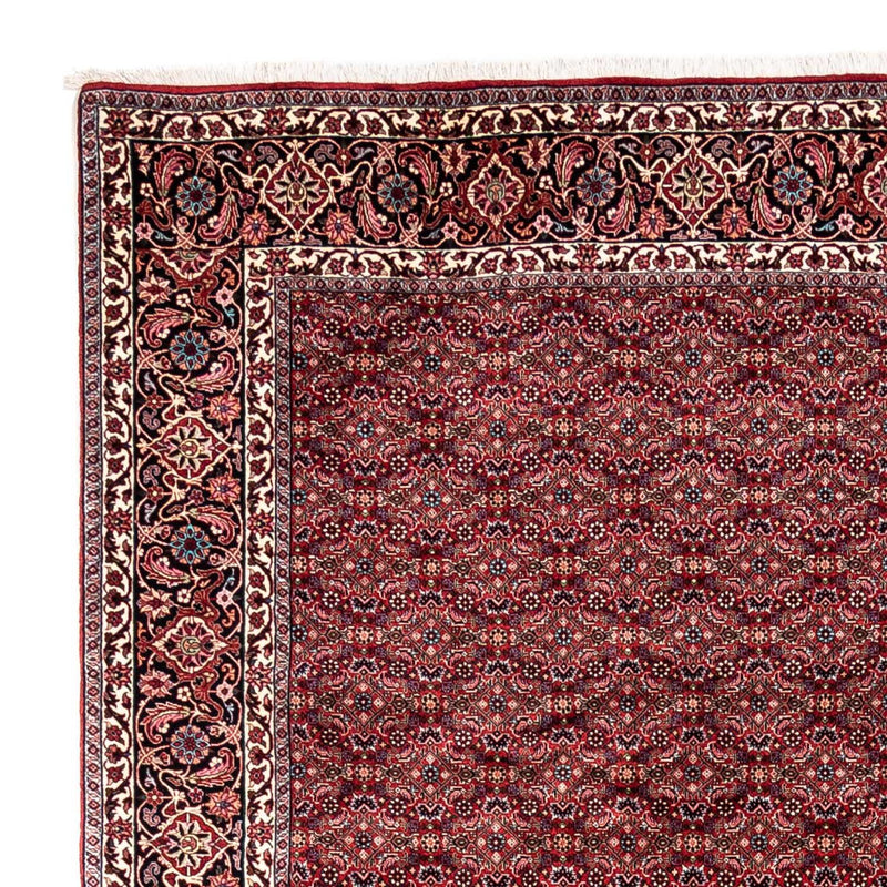 Tappeto Persero - Bidjar - 337 x 252 cm - rosso