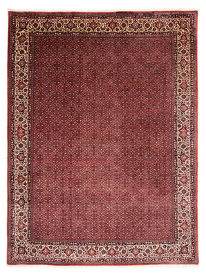 Tappeto Persero - Bidjar - 338 x 258 cm - rosso