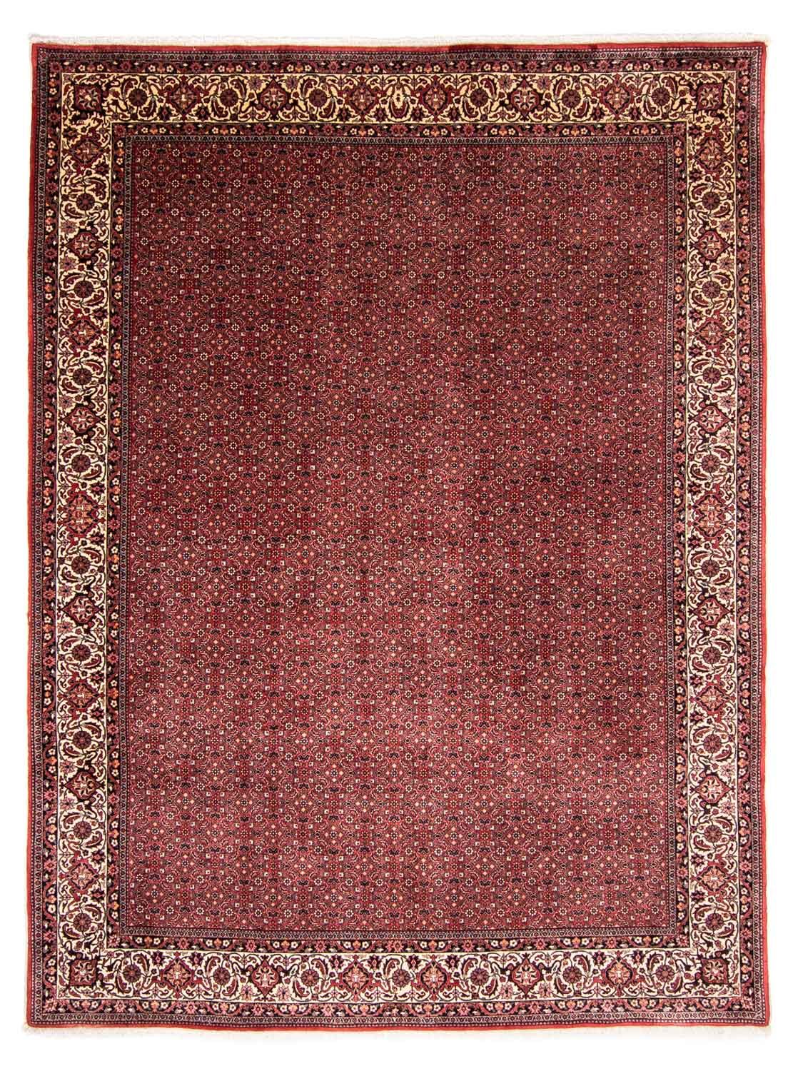 Tappeto Persero - Bidjar - 338 x 258 cm - rosso