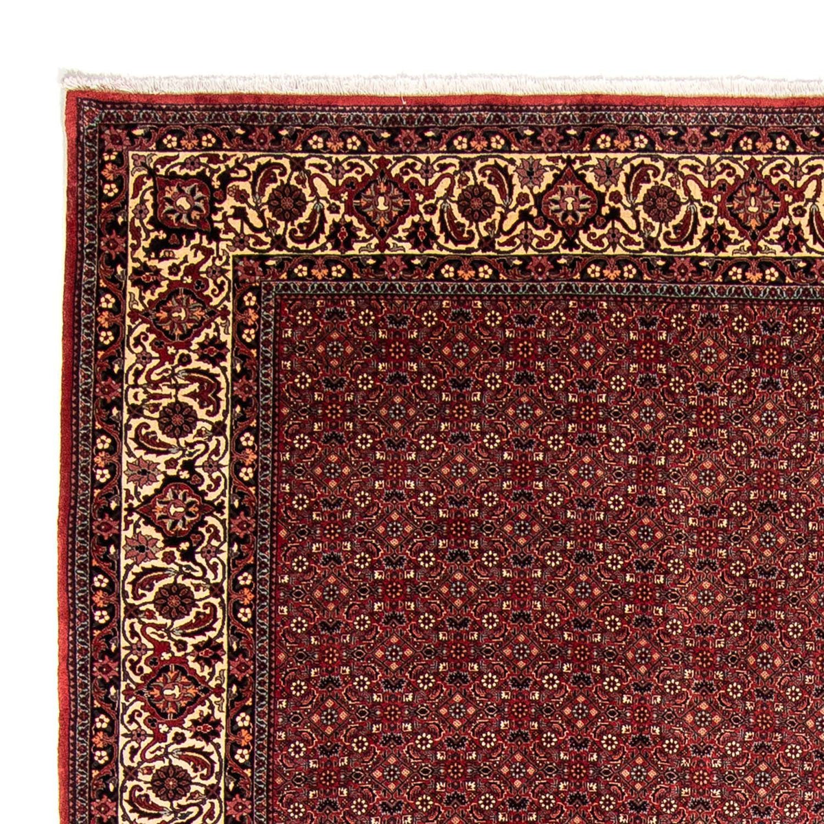 Bidjar Tappeto 258x338cm - Tappeto persiano