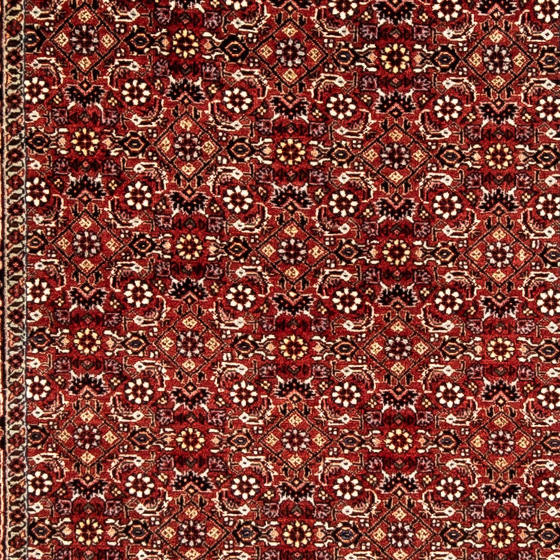 Tappeto corsia Tappeto Persero - Bidjar - 298 x 80 cm - rosso scuro