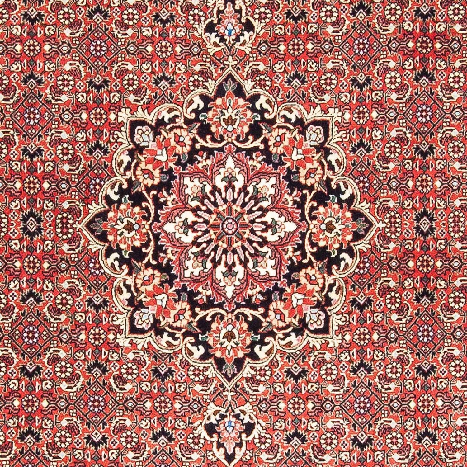 Tappeto Persero - Bidjar - 182 x 110 cm - rosso