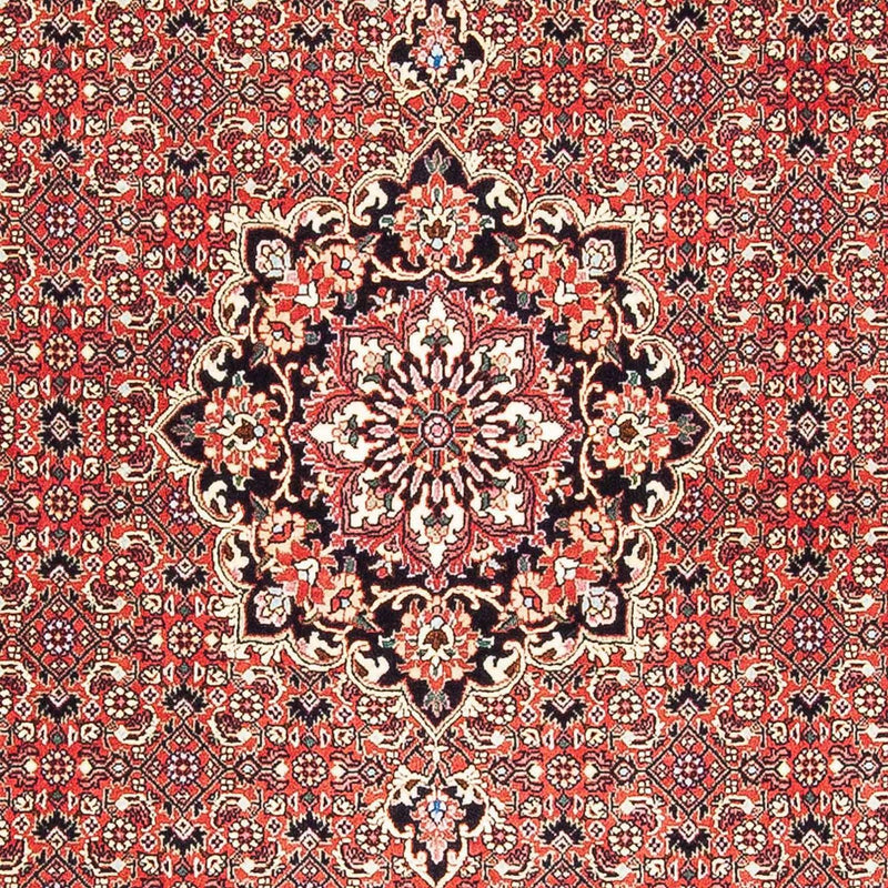 Tappeto Persero - Bidjar - 182 x 110 cm - rosso
