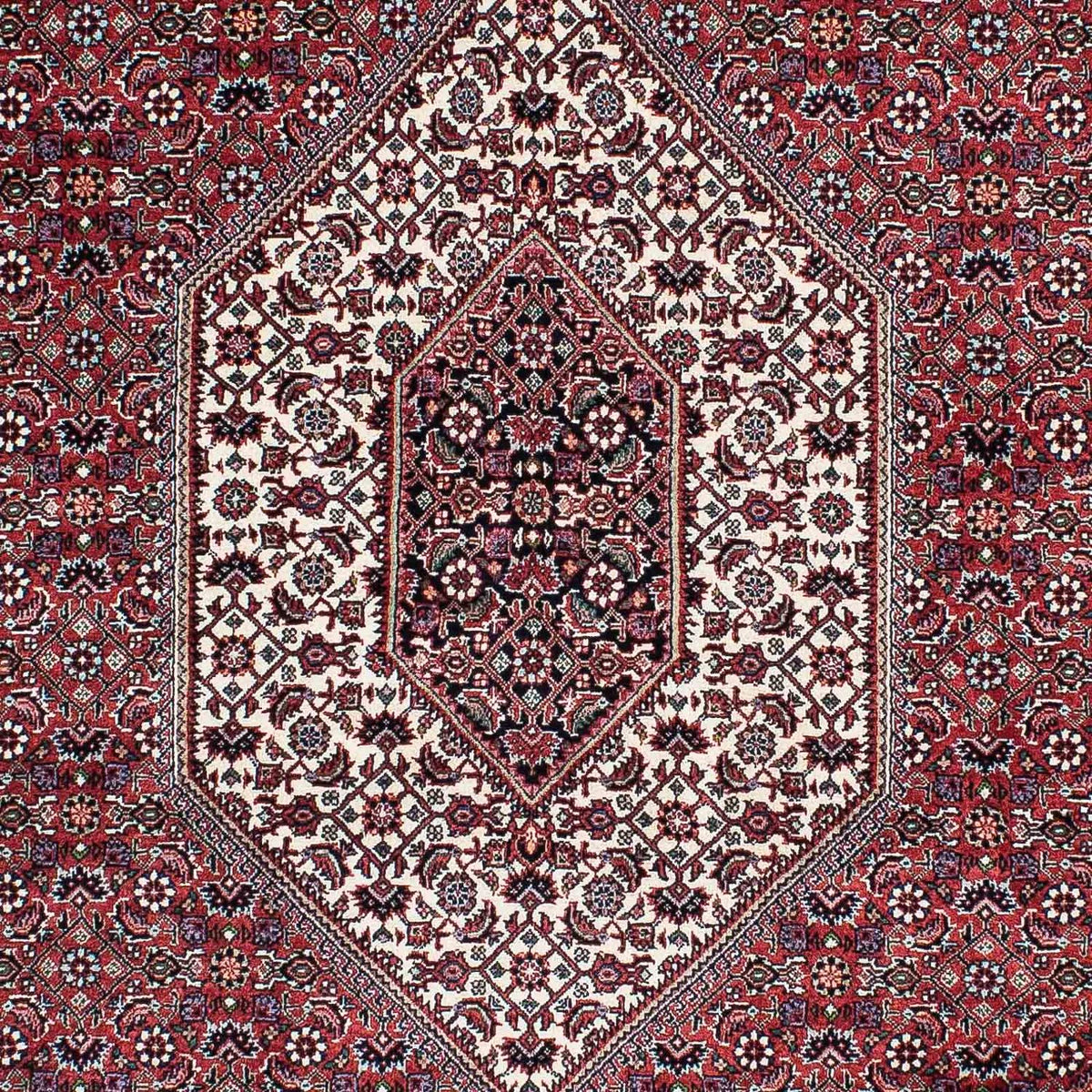 Tappeto Persero - Bidjar - 200 x 130 cm - rosso chiaro