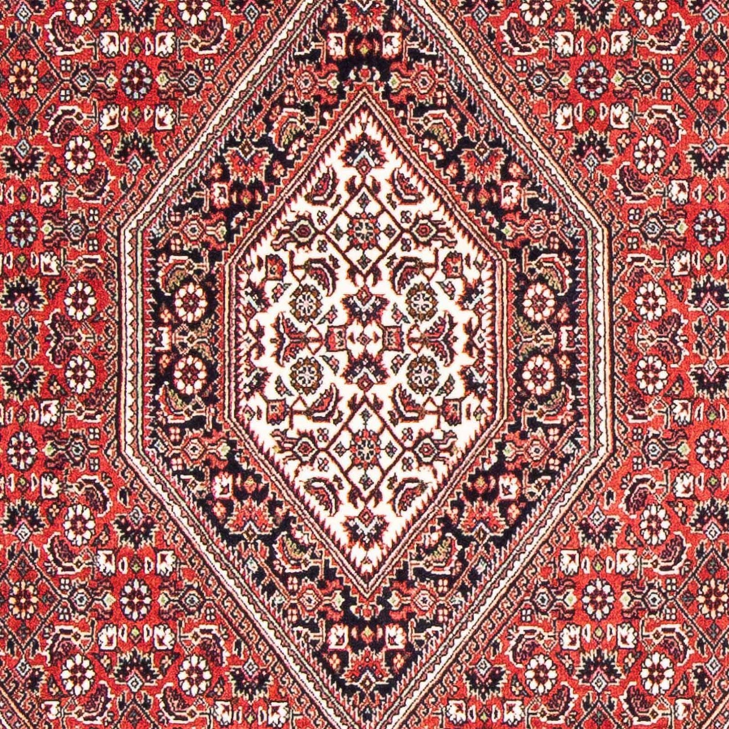 Tappeto Persero - Bidjar - 176 x 110 cm - rosso