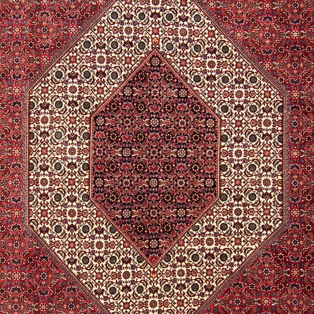 Tappeto Persero - Bidjar - 304 x 255 cm - rosso scuro
