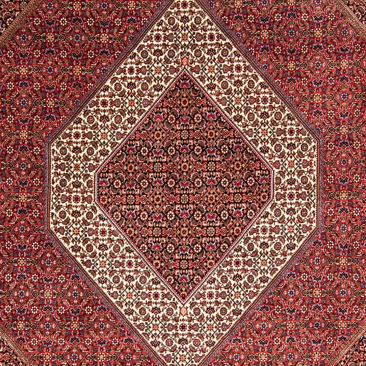 Tappeto Persero - Bidjar - 345 x 252 cm - rosso