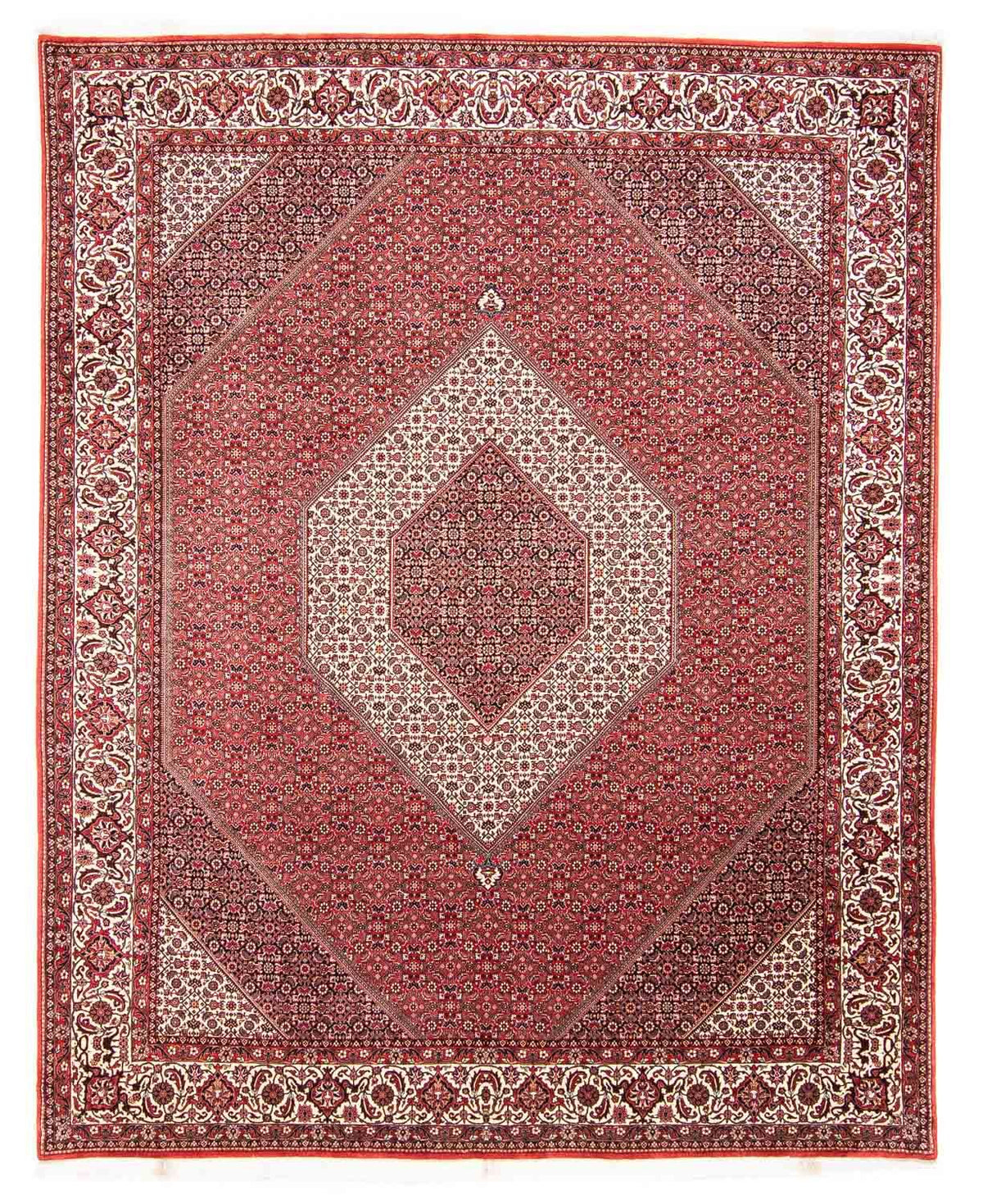 Tappeto Persero - Bidjar - 312 x 256 cm - rosso chiaro