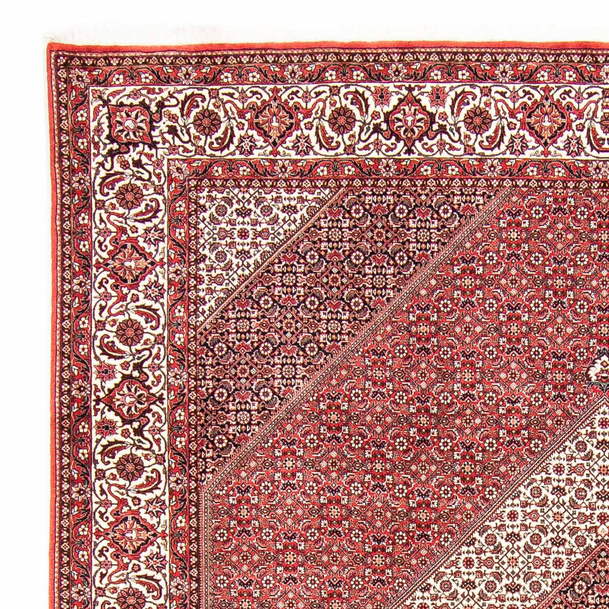 Tappeto Persero - Bidjar - 312 x 256 cm - rosso chiaro