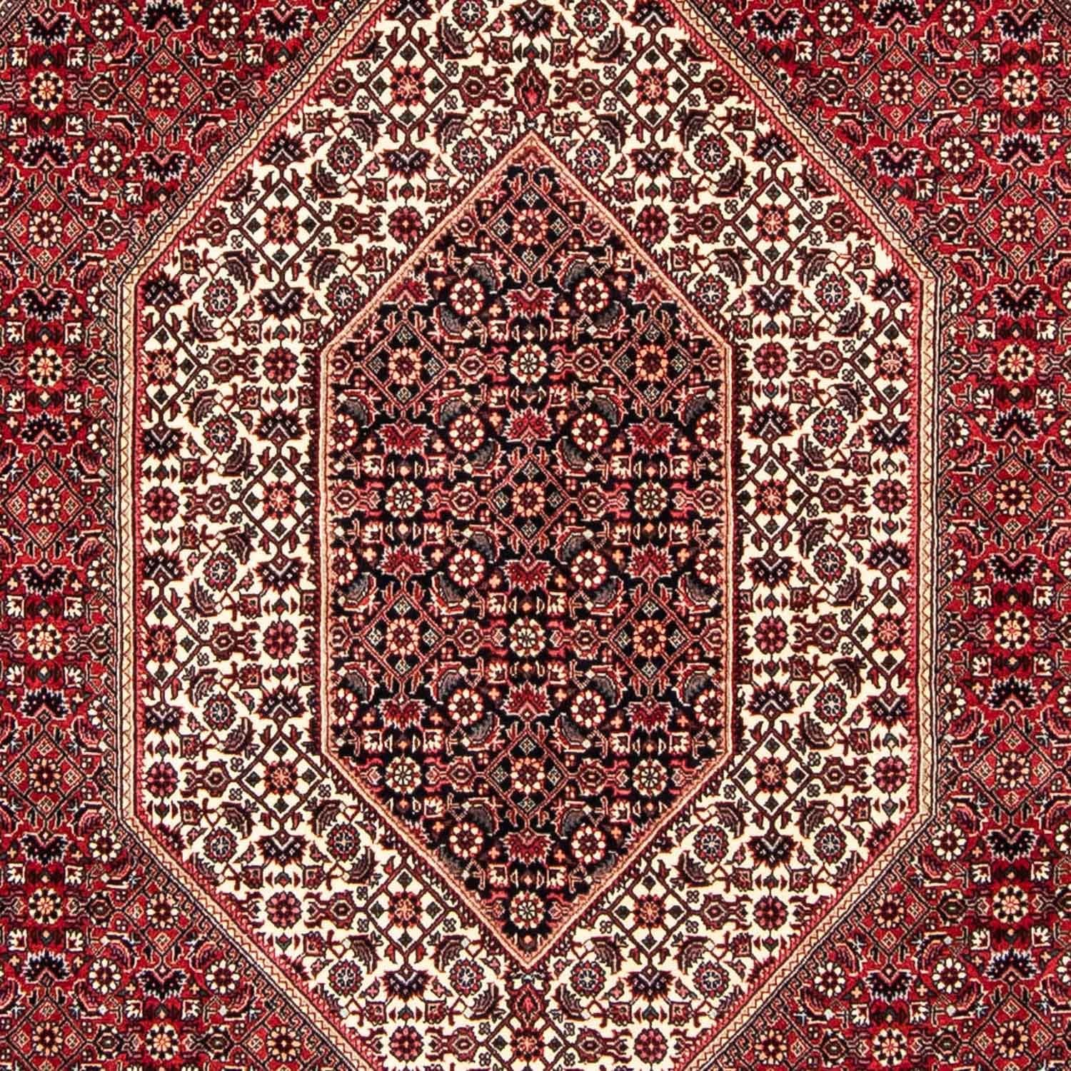 Tappeto Persero - Bidjar - 250 x 171 cm - rosso scuro