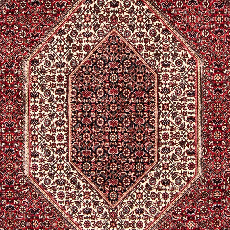 Tappeto Persero - Bidjar - 250 x 171 cm - rosso scuro