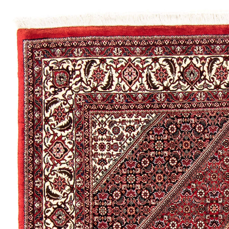 Tappeto Persero - Bidjar - 240 x 168 cm - rosso scuro
