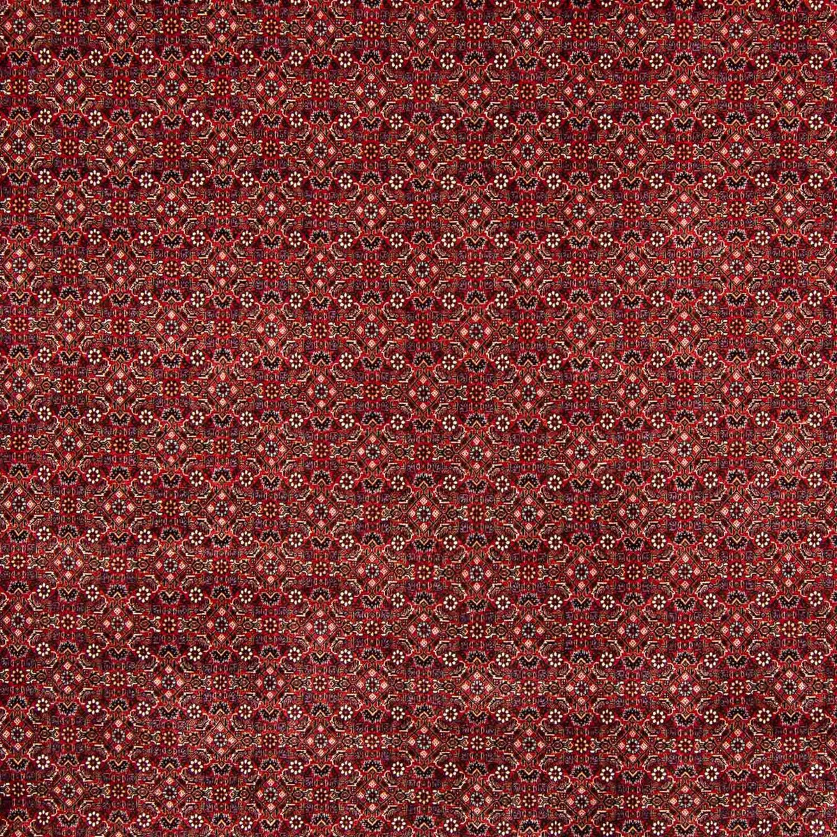 Tappeto Persero - Bidjar - 400 x 308 cm - rosso scuro