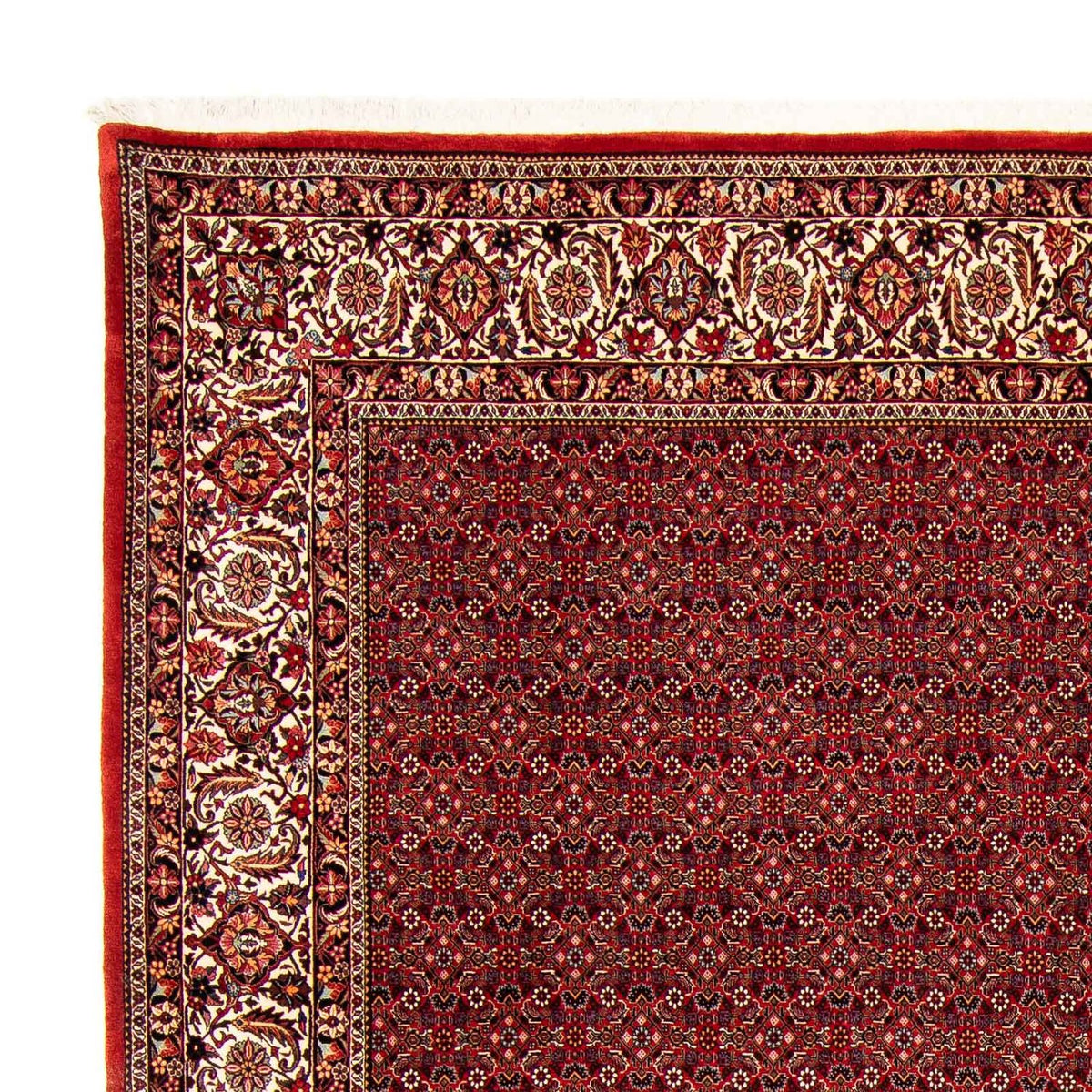 Tappeto Persero - Bidjar - 400 x 308 cm - rosso scuro