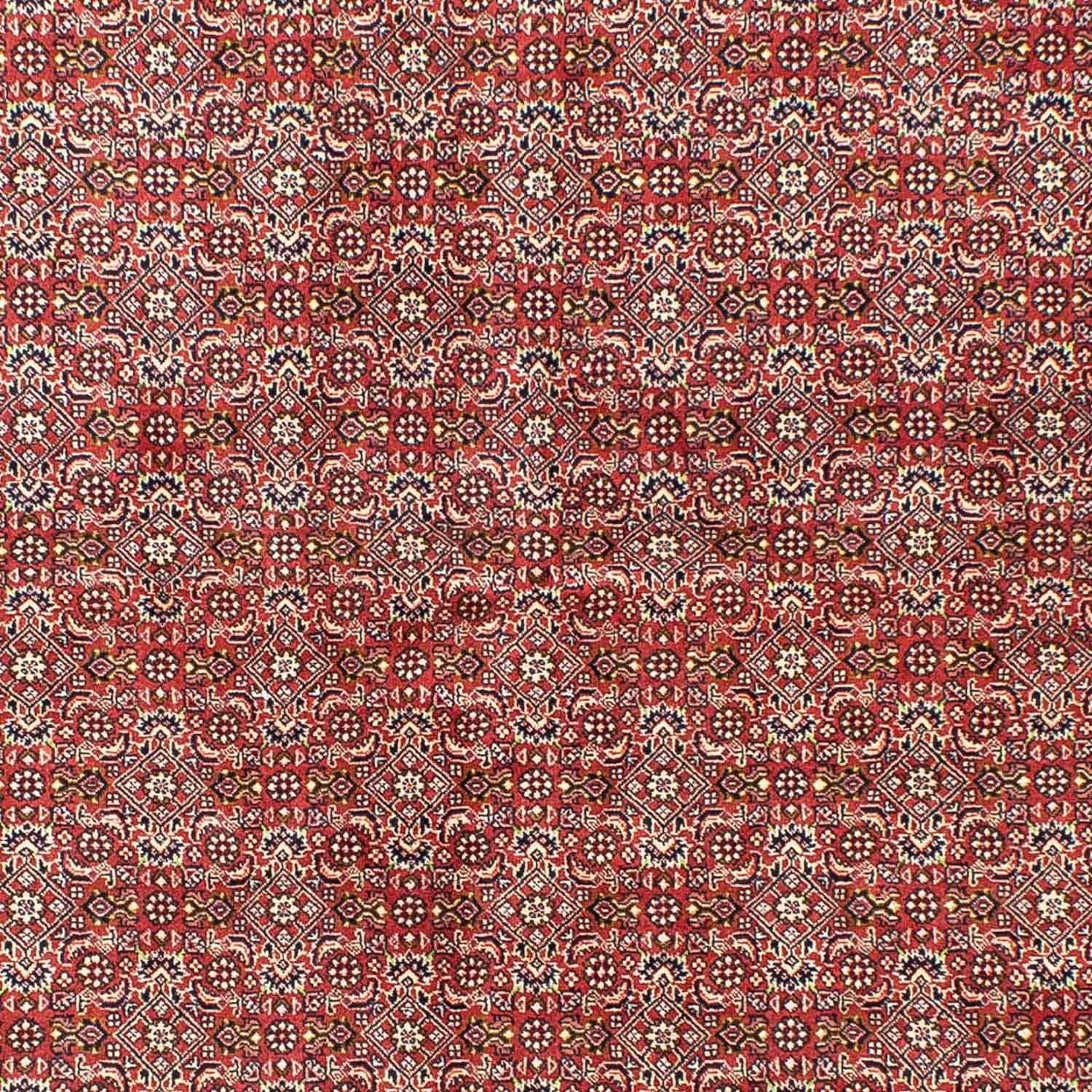 Tappeto Persero - Bidjar - 245 x 170 cm - rosso chiaro