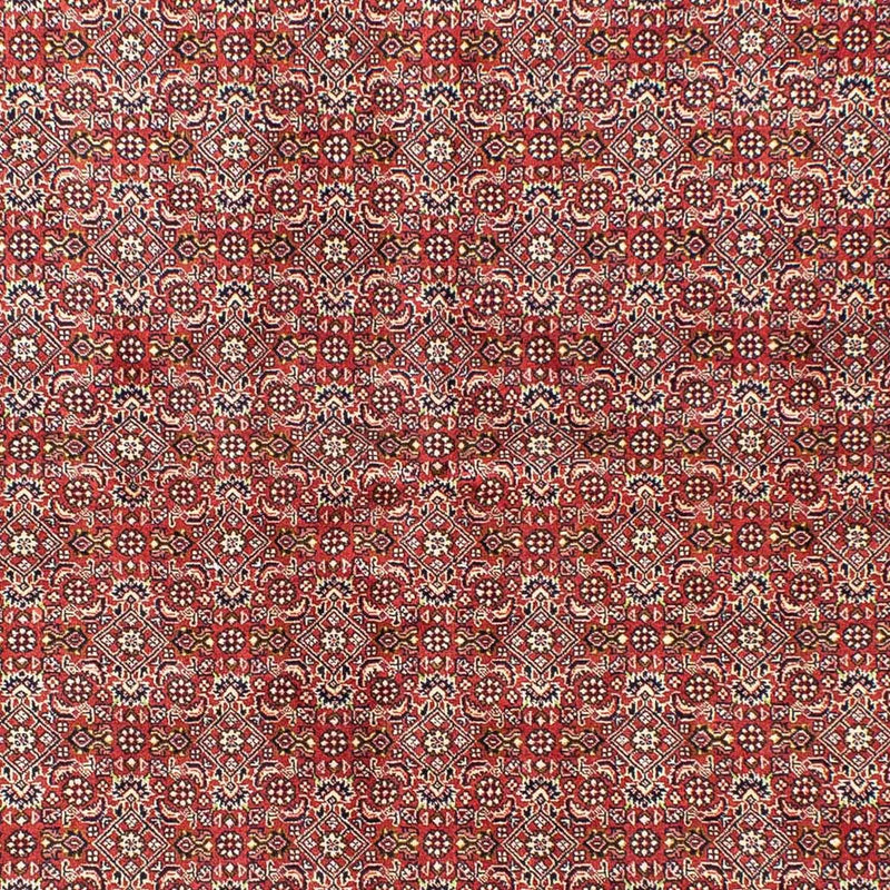 Tappeto Persero - Bidjar - 245 x 170 cm - rosso chiaro