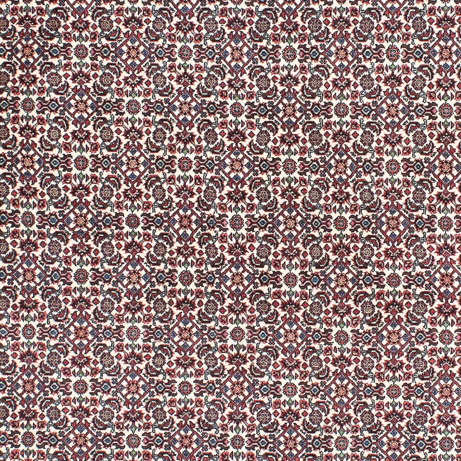 Tappeto Persero - Bidjar - 208 x 147 cm - beige