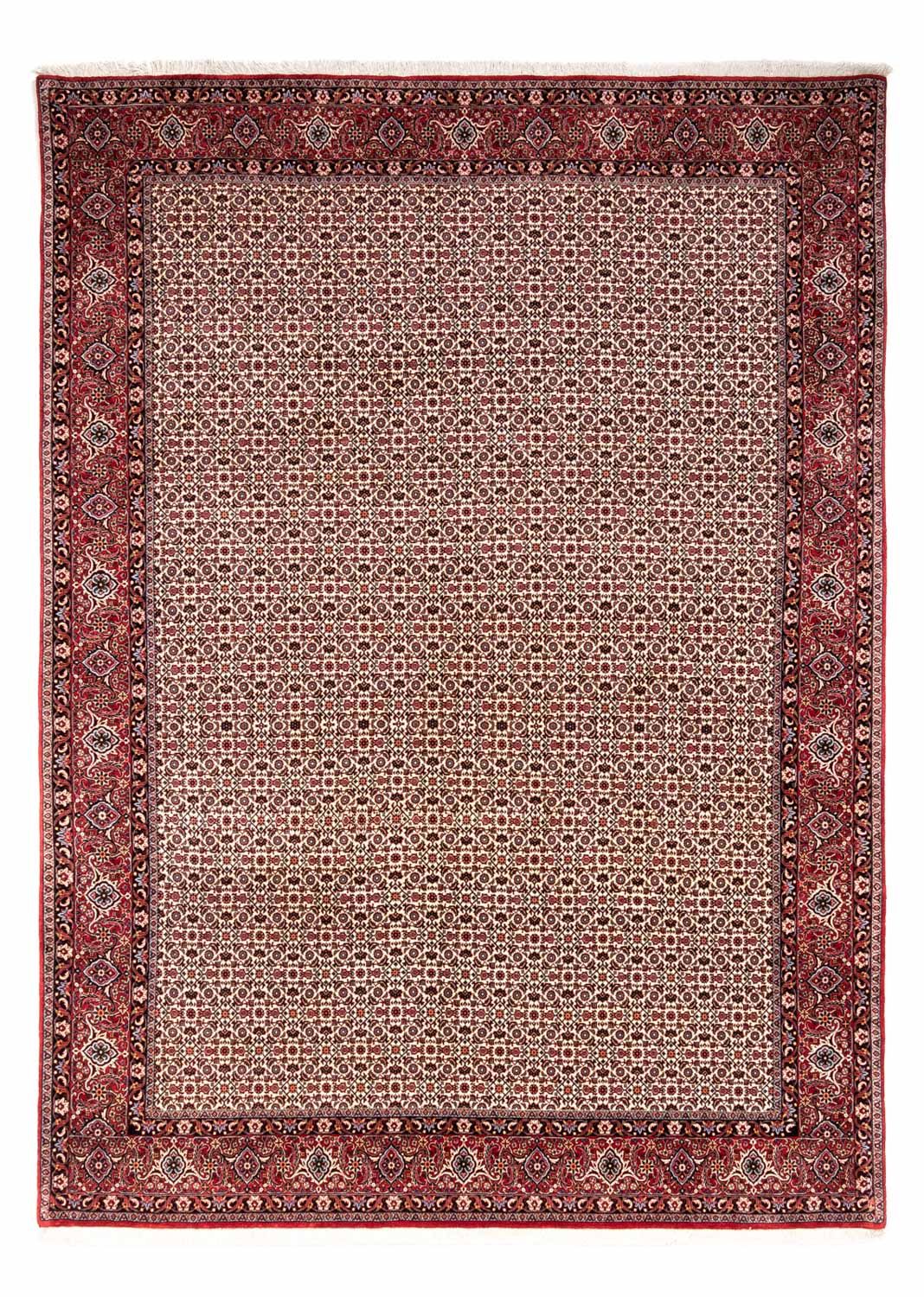 Tappeto Persero - Bidjar - 343 x 253 cm - beige