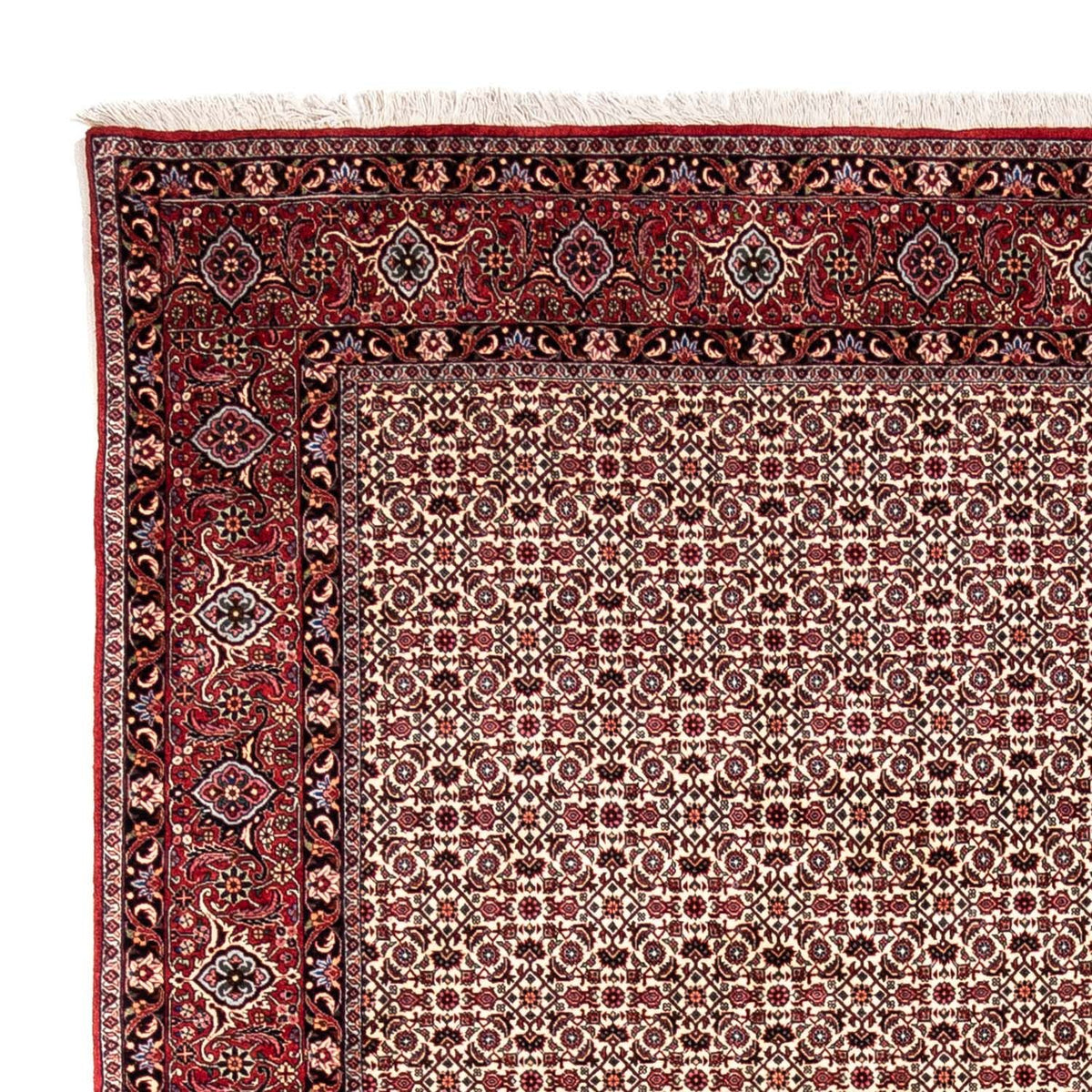 Tappeto Persero - Bidjar - 343 x 253 cm - beige