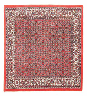 Tappeto Persero - Bidjar quadrato  - 105 x 101 cm - rosso