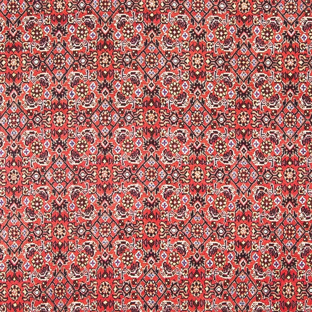 Tappeto Persero - Bidjar quadrato  - 105 x 101 cm - rosso