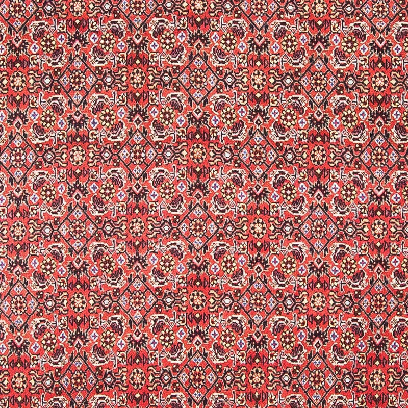 Tappeto Persero - Bidjar quadrato  - 105 x 101 cm - rosso