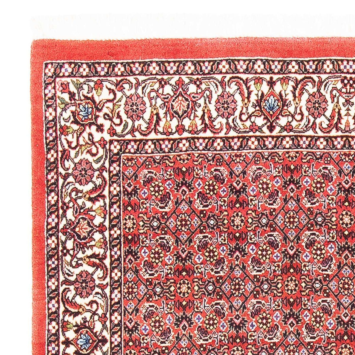 Tappeto Persero - Bidjar quadrato  - 105 x 101 cm - rosso