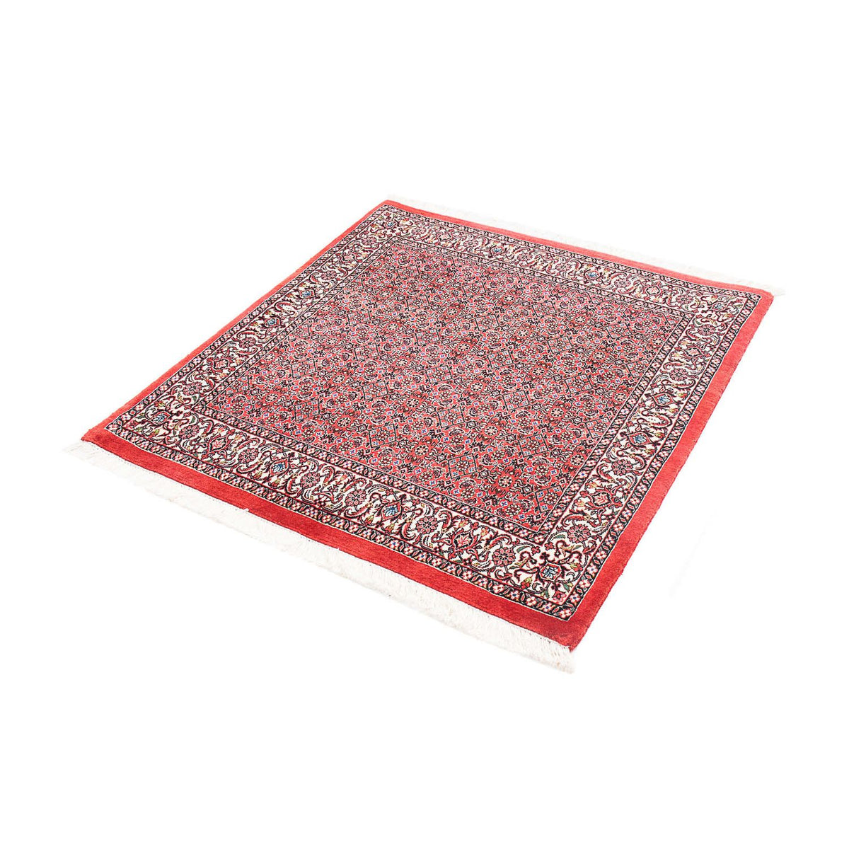 Tappeto Persero - Bidjar quadrato  - 105 x 101 cm - rosso