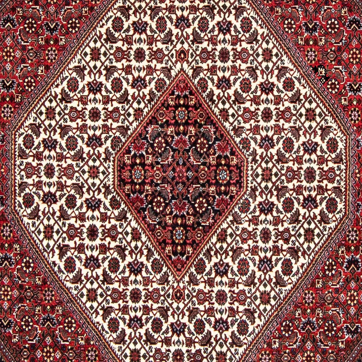 Tappeto Persero - Bidjar - 236 x 172 cm - rosso scuro