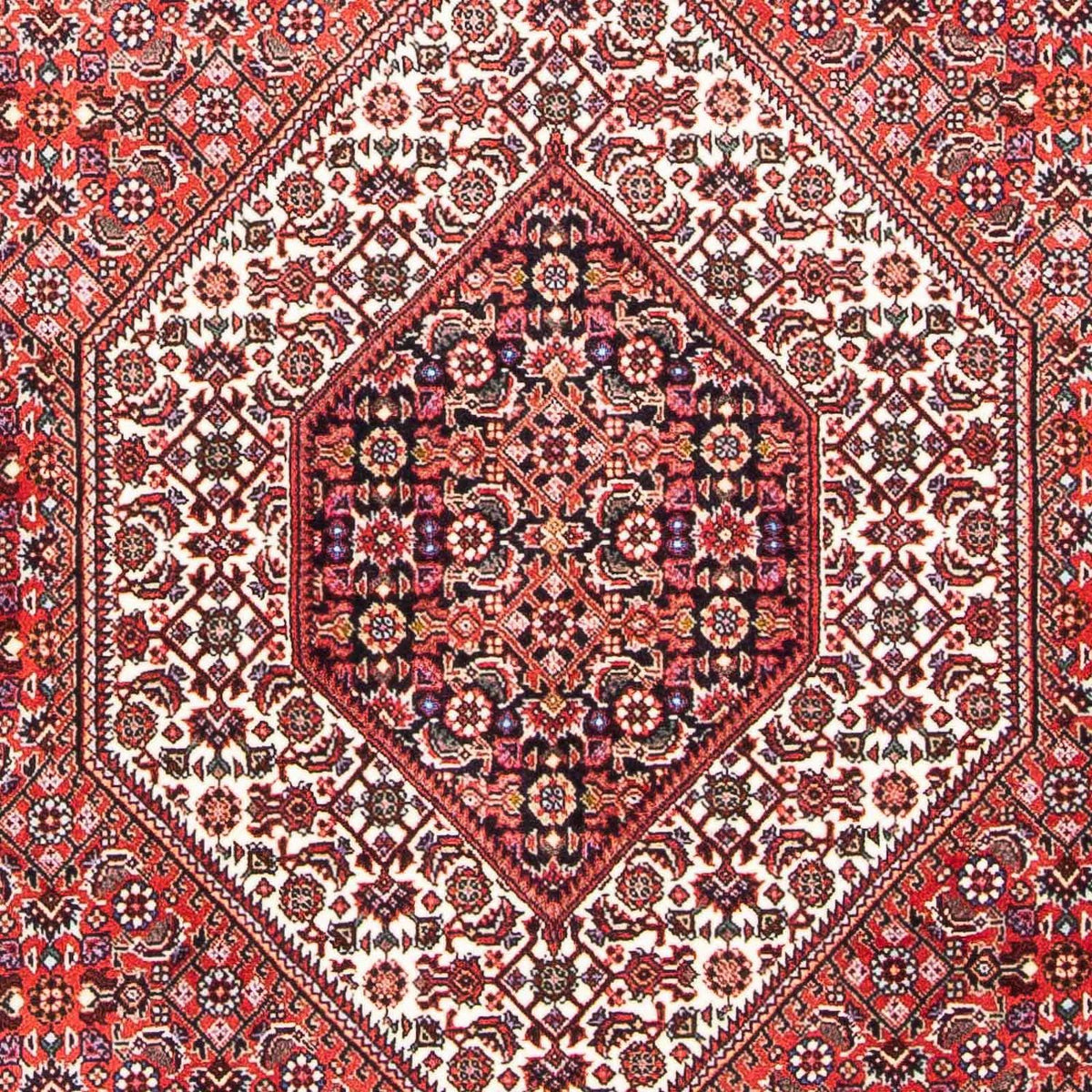 Tappeto Persero - Bidjar - 180 x 111 cm - rosso chiaro