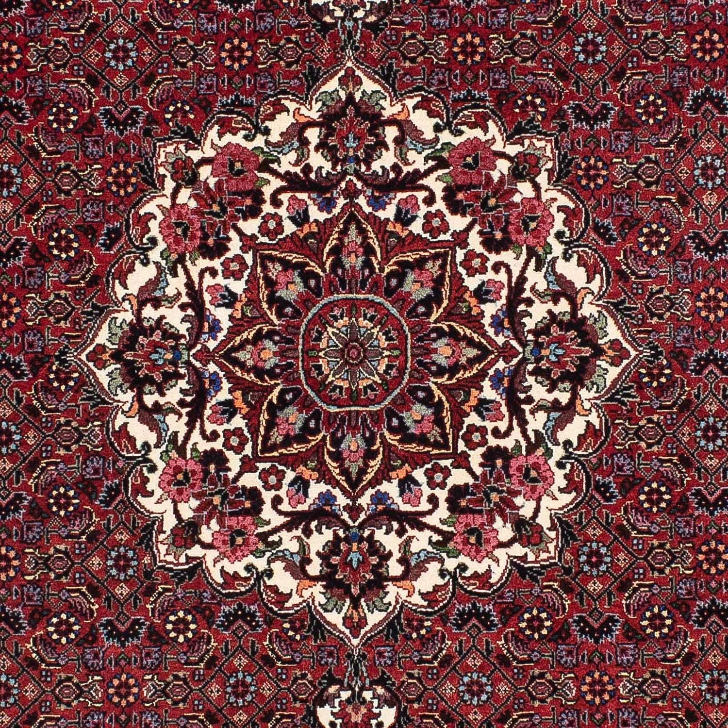 Tappeto Persero - Bidjar - 180 x 112 cm - rosso