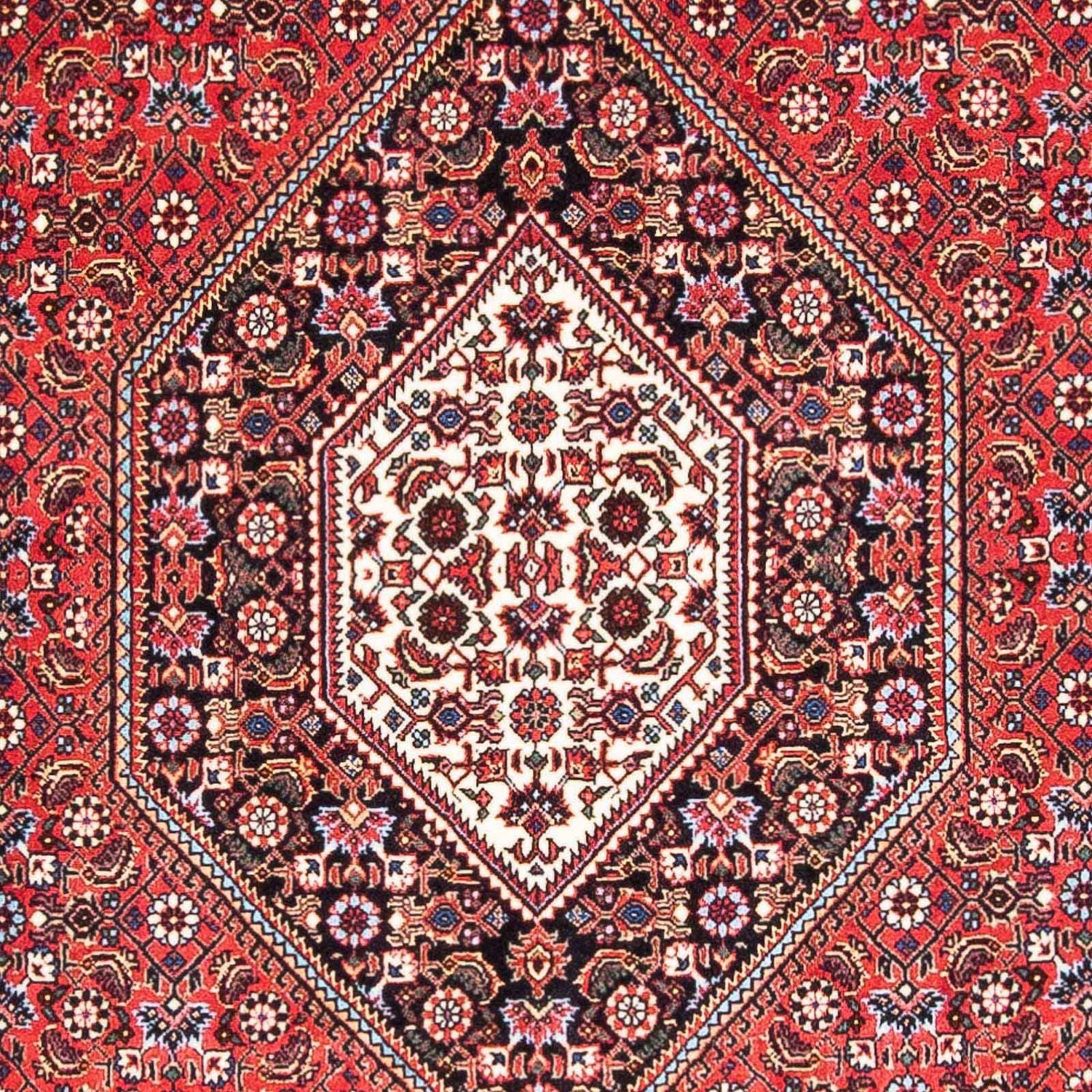 Tappeto Persero - Bidjar - 180 x 111 cm - rosso