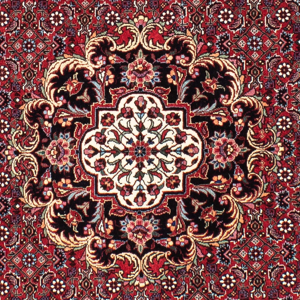 Tappeto Persero - Bidjar rotondo  - 155 x 155 cm - rosso scuro